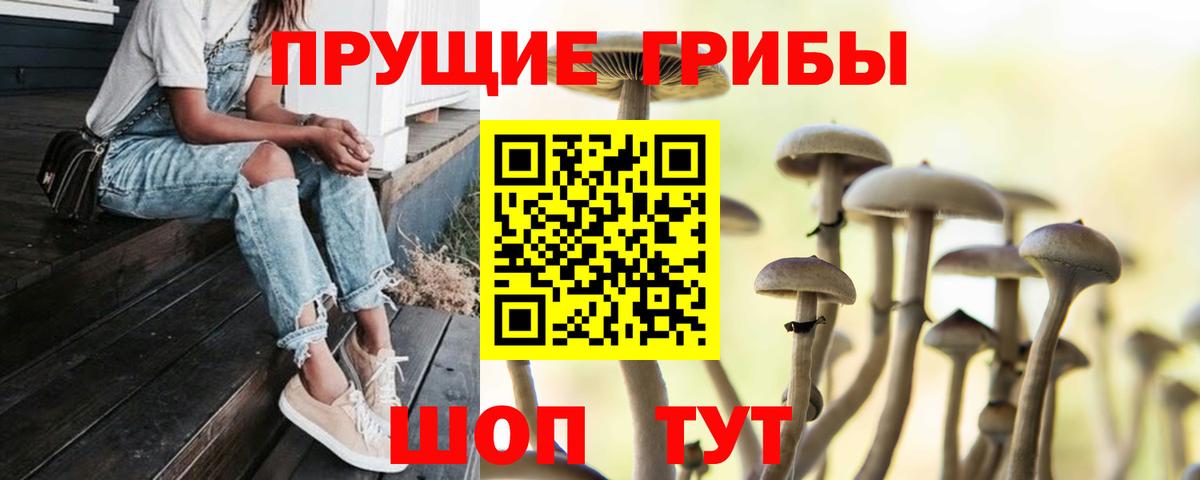 Галлюциногенные грибы мухоморы Вятские Поляны