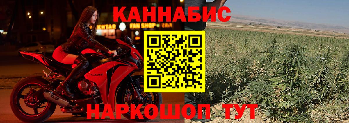 Каннабис OG Kush Вятские Поляны