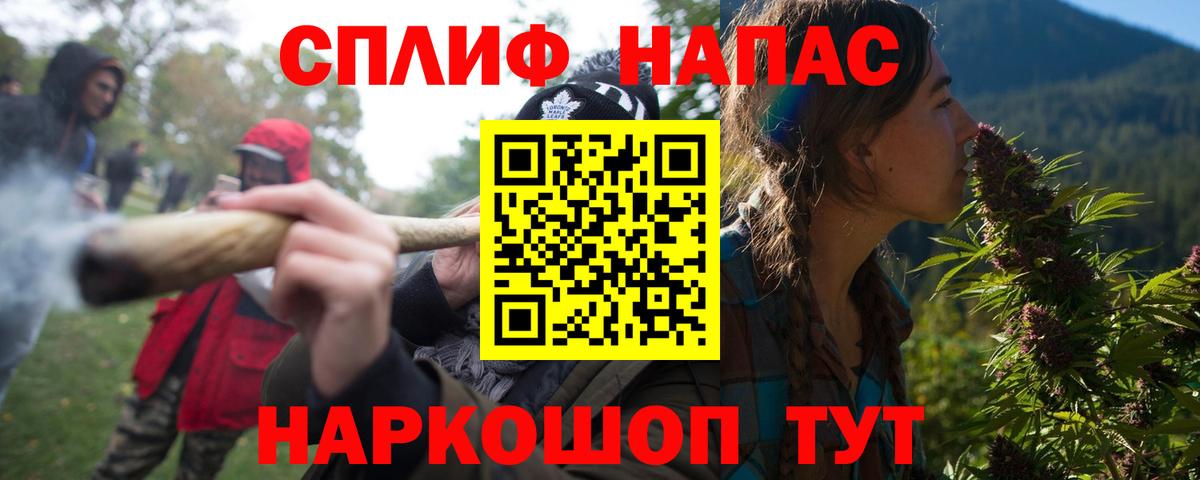 Конопля планчик  Вход с VPN  Конопля ГИДРОПОН  Вятские Поляны  Каннабис семена 